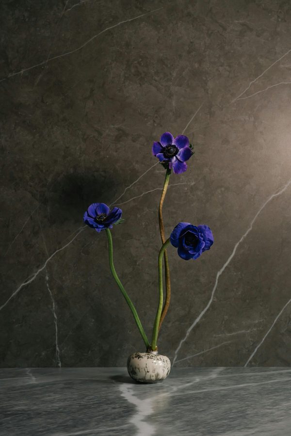 Pierre naturelle : l'art de sublimer vos espaces intérieurs